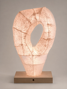 ARI LIGHT