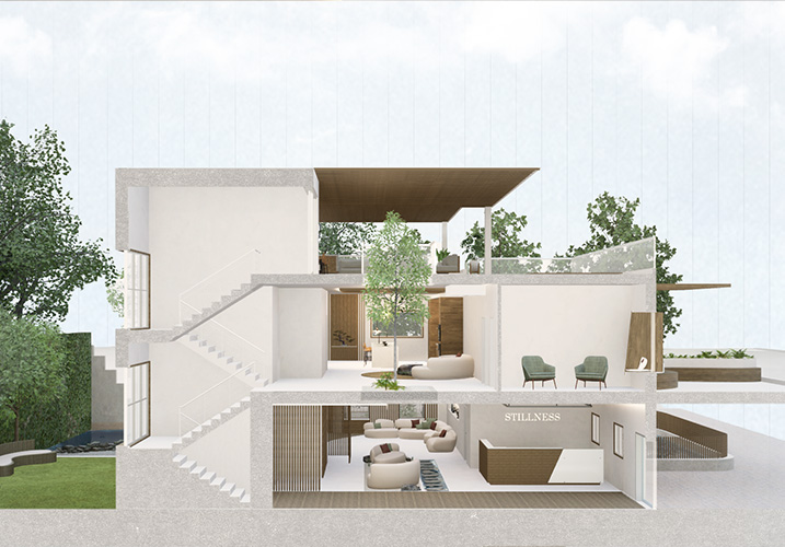Perspective section
