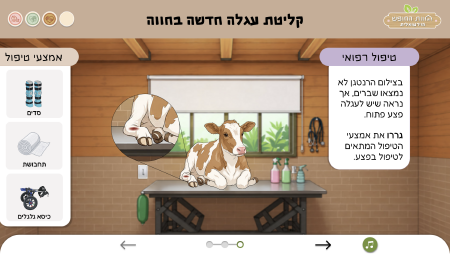 סימולציה